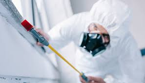 Professional Pest Control in Houston, TX